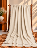 Light Skin 4-Side Hashia Border Embroidered Pashmina Shawl